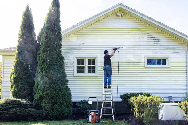 Best Driveway Pressure Washing  in Kershaw, SC